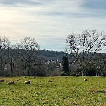 Вілла Le Petit Figuier Villefranche-du-Perigord Екстер'єр фото