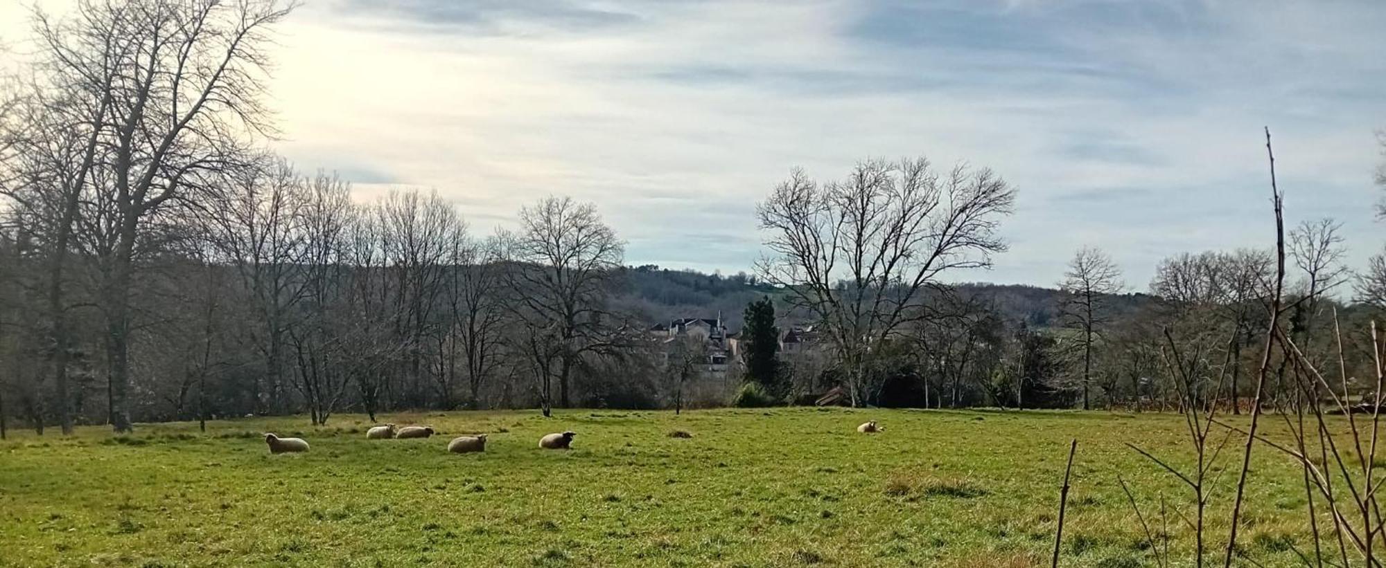 Вілла Le Petit Figuier Villefranche-du-Perigord Екстер'єр фото